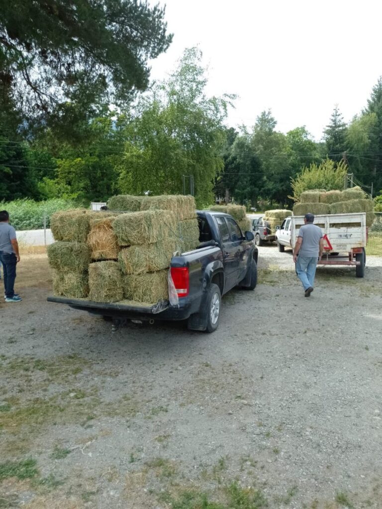 Provincia asiste a productores afectados por los incendios en la región cordillerana