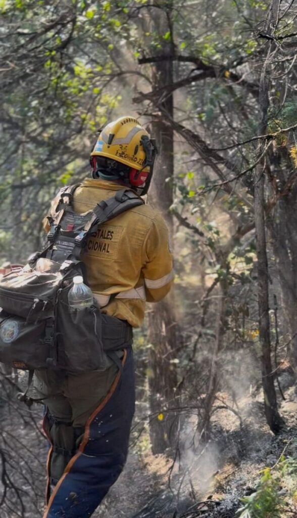 Incendios forestales: Sostienen fuerte despliegue de brigadistas y monitoreo permanente